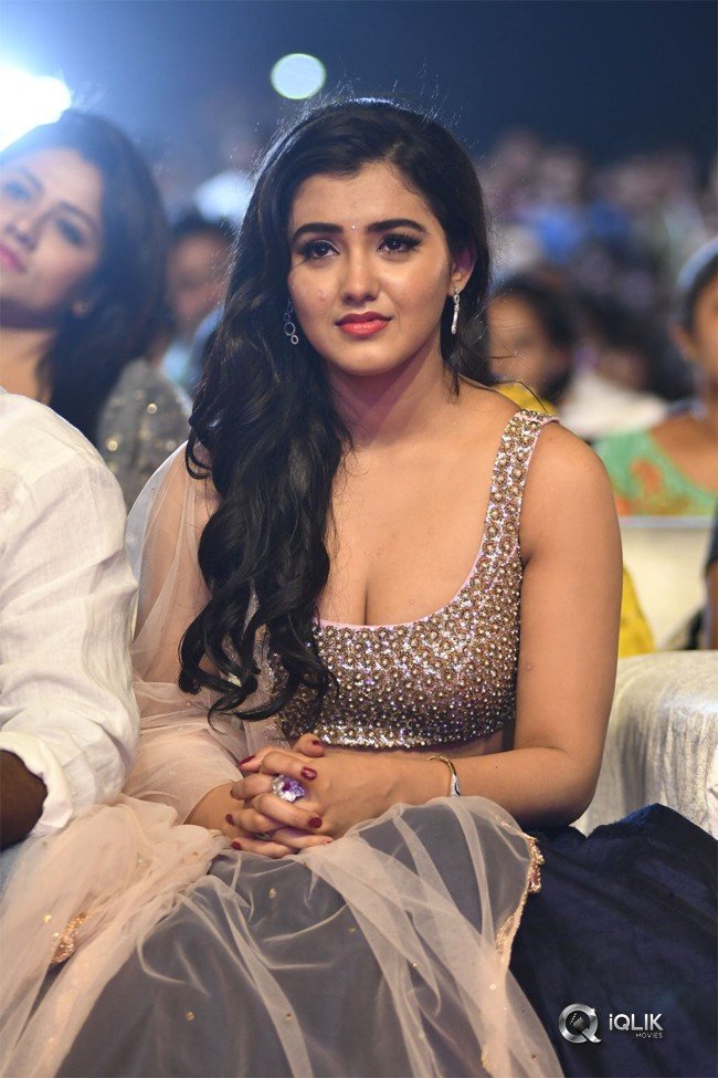 Nela-Ticket-Movie-Audio-Launch-Photos